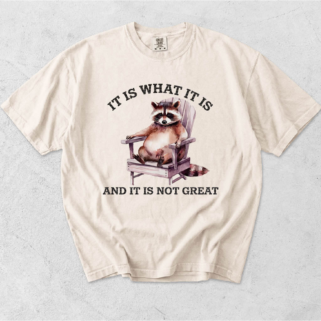 IT IS WHAT IT IS AND IT'S NOT GREAT-RACCOON IN ROCKING CHAIR