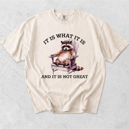 IT IS WHAT IT IS AND IT'S NOT GREAT-RACCOON IN ROCKING CHAIR