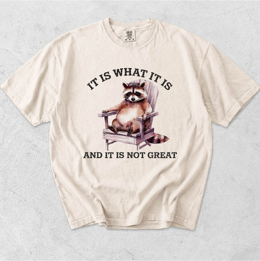 IT IS WHAT IT IS AND IT'S NOT GREAT-RACCOON IN ROCKING CHAIR