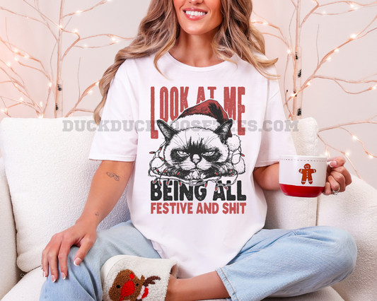 LOOK AT ME BEING ALL FESTIVE AND SHIT- MEAN MUGGING CAT